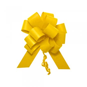 LAÇO FÁCIL PLUS LISO . 31mm x 1,26m Pacote 20 Peças AMARELO