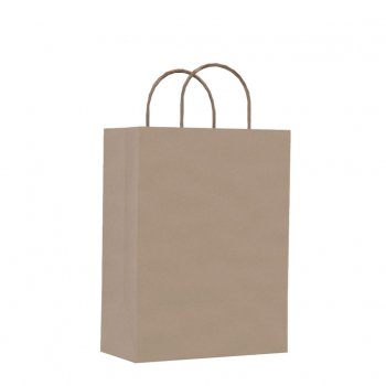 SACOLA KRAFT . . 17,5 X 8,5 X 33CM 10 PEÇAS .