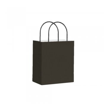 SACOLA KRAFT LISA . 13,5 X 16CM 10 PEÇAS PRETA