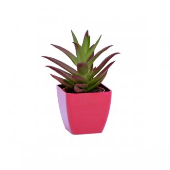 CACHEPOT ACRÍLICO . SUCULENTA Pote 6 (6cm x 6cm) 1 Peça VERMELHO