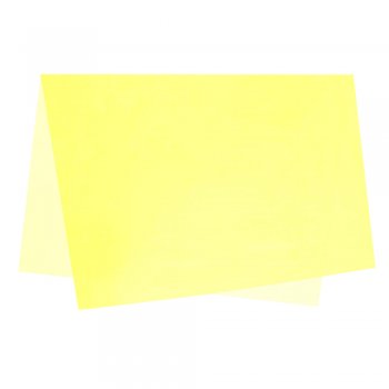 SUJINHO DECORADO NEON 49cm x 69cm Pacote 50 Folhas AMARELO