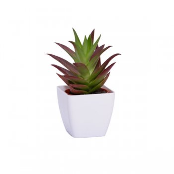 CACHEPOT ACRÍLICO . SUCULENTA Pote 6 (6cm x 6cm) 1 Peça BRANCO
