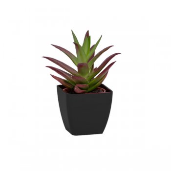 CACHEPOT ACRÍLICO . SUCULENTA Pote 6 (6cm x 6cm) 1 Peça PRETO