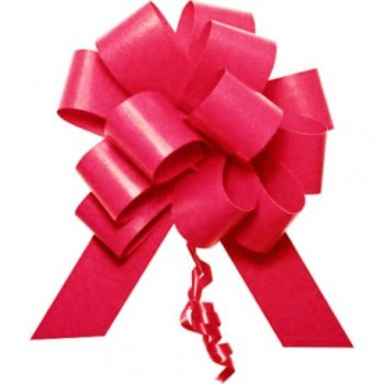 LAÇO FÁCIL PLUS LISO . 31mm x 1,26m Pacote 20 Peças PINK INTENSO