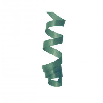 FITILHO DECORATIVO LISO 5mm X 300m 1 Rolo VERDE BOTANIC