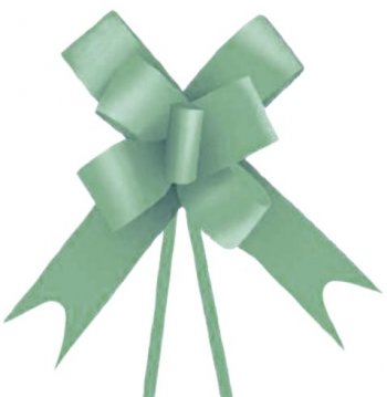 LAÇO FÁCIL LISO . 30mm x 50cm Pacote 10 Peças VERDE BOTANIC
