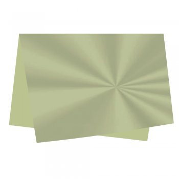 POLI SUJINHO LISO 49cm x 69cm Pacote 50 Folhas PISTACHE