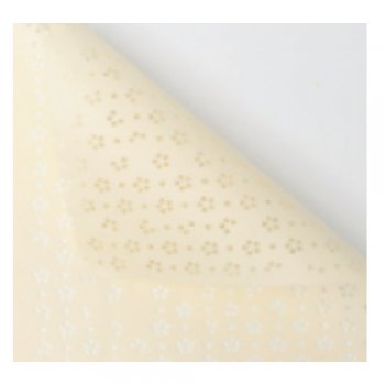 POLI VIVACE AERIS MARFIM 58cmX58cm 10un