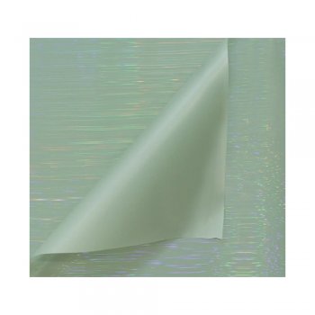 POLI STARLIGHT PLATINUM 50MC DUPLA FACE LISO 58cm X 58cM PACOTE 20 FOLHAS VERDE / VERDE QSWL003