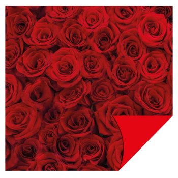 POLI PEROLIZADO ELITE 60mc DUPLA FACE SCARLET 58cm x 58cm Pacote 25 Folhas .