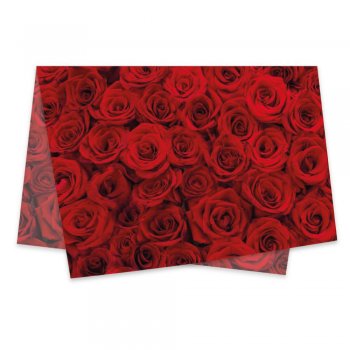 POLI SUJINHO DECORADO SCARLET 49cm x 69cm Pacote 50 Folhas .
