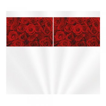 SACO TRANSPARENTE CESTA SCARLET 45cm x 59cm Pacote 50 Peças